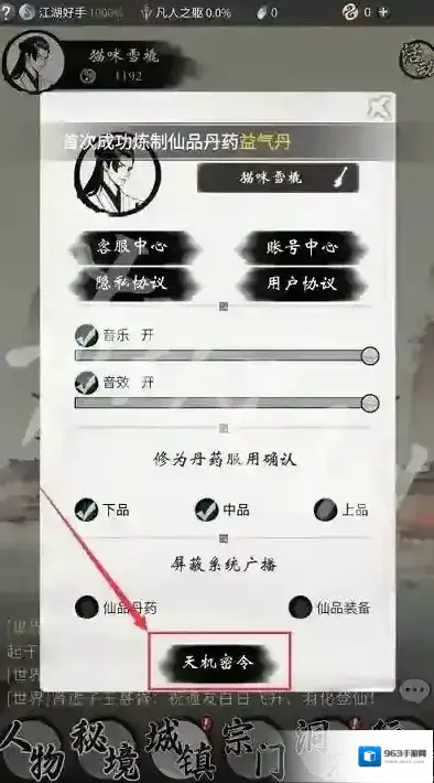 一念逍遥天机密令