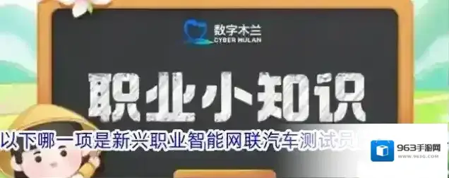 以下哪一项是新兴职业智能网联汽车测试员的工作内容