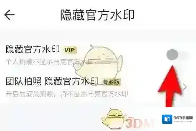 马克水印相机隐藏