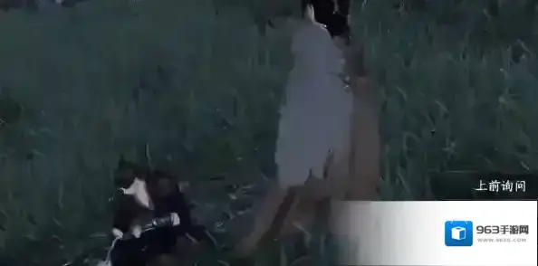 逆水寒宋再青