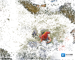 决战平安京苍月