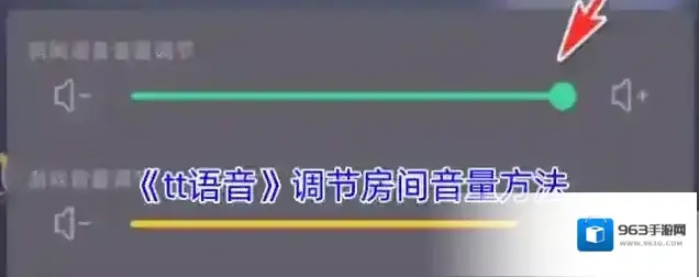 tt语音音量