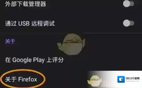 火狐浏览器查看