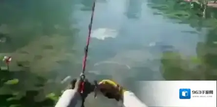 欢乐钓鱼大师钓鱼