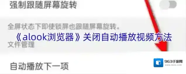 Alook浏览器视频