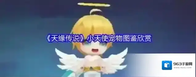 天缘传说宠物图鉴