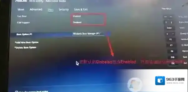 专业版分区表类型