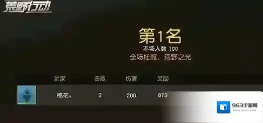 荒野行动有多少钱