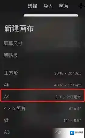 procreate尺寸