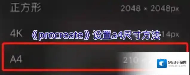 procreate画布
