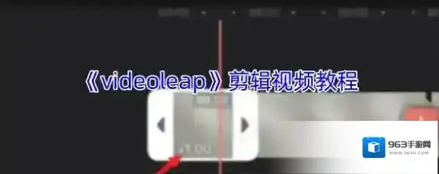 Videoleap视频