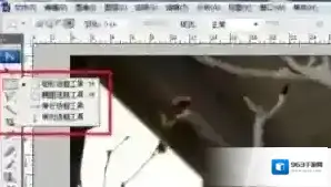 局部图片