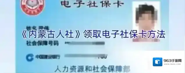 内蒙古社保12333电子社保卡