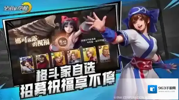 全明星觉醒官方英雄