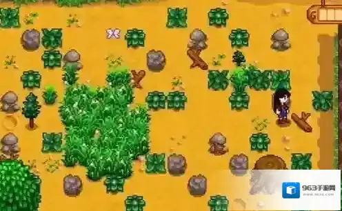 星露谷物语让玩家