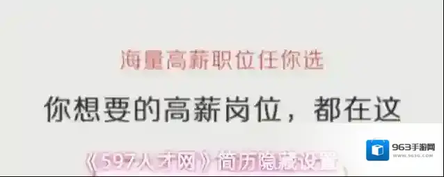 《597人才网》简历隐藏设置