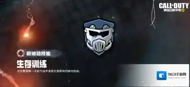 使命召唤新版本