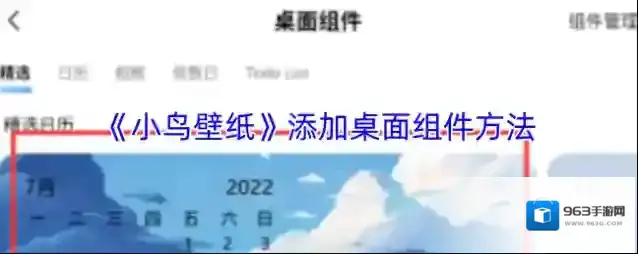 小鸟壁纸小组件