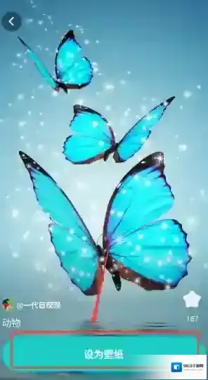 青藤壁纸静态壁纸