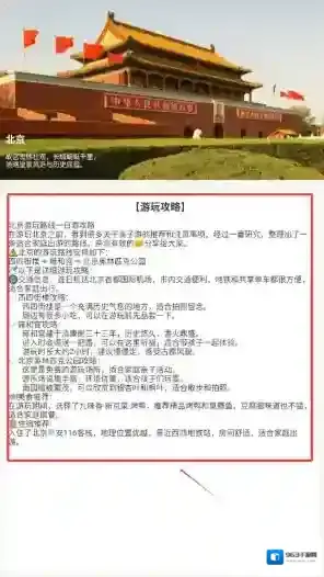 特价航旅蒲公英