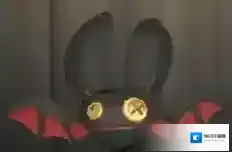第五人格奖励