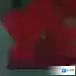 乐高无限红水晶怎么获得 红水晶获取方式及用途介绍