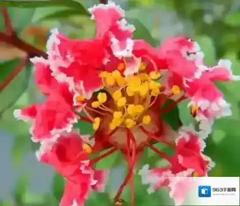 哔哩哔哩动画硬核游戏