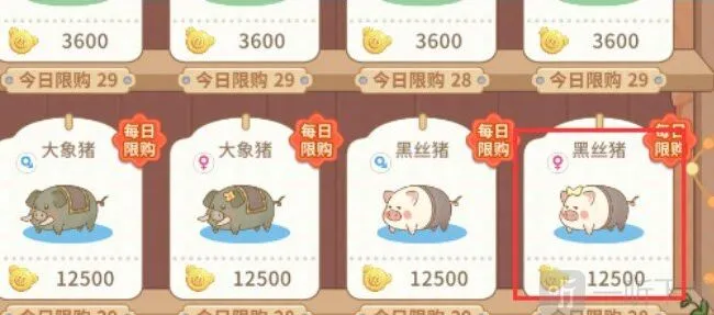 阳光养猪场配种