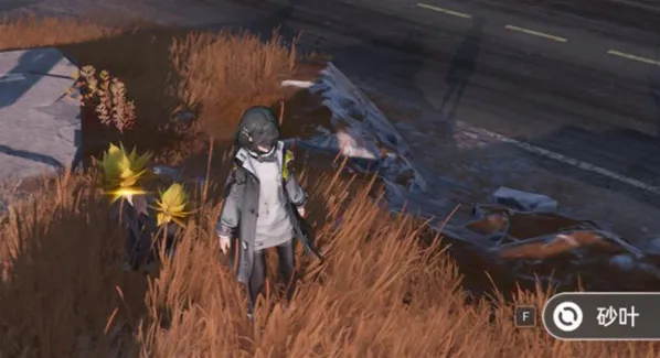 明日方舟终末地地砂叶