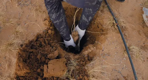 无尽的拉格朗日这一