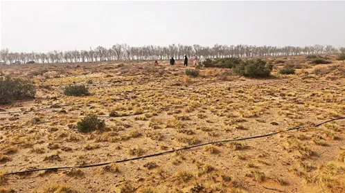 无尽的拉格朗日游戏