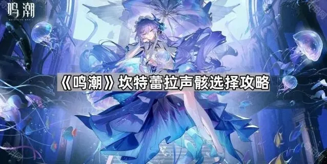 《鸣潮》坎特蕾拉声骸选择攻略