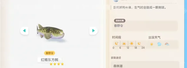 心动小镇限定