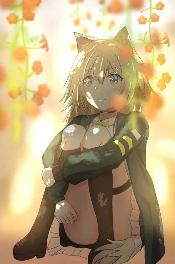 《明日方舟》波登可培养攻略与强度点评