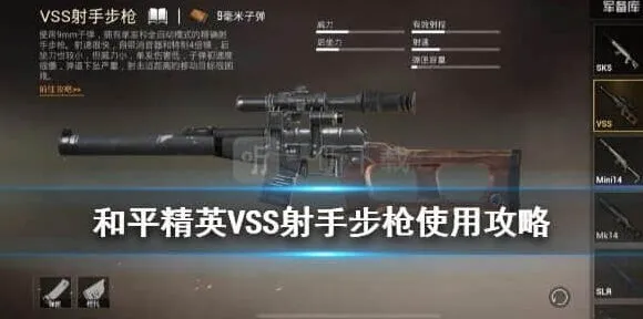 和平精英VSS使用技巧分享