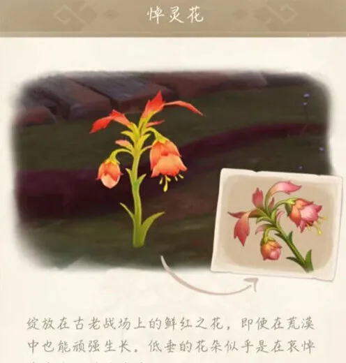 《原神》悼灵花刷新时间教程