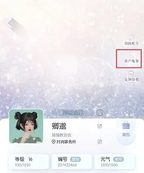 以闪亮之名礼包码