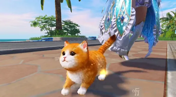 和平精英猫咪名字修改指南