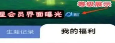 王者荣耀查看