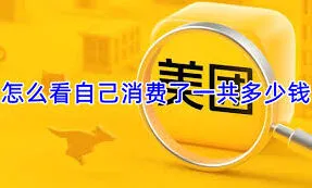 美团应用如何查看美团消费总额方法详解