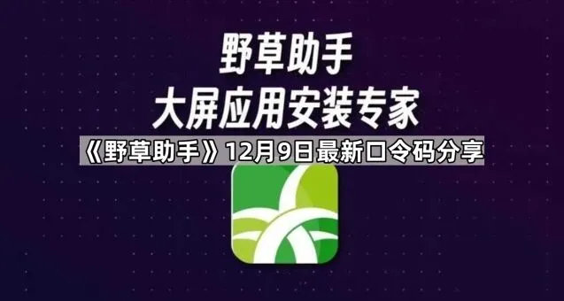 TA野草