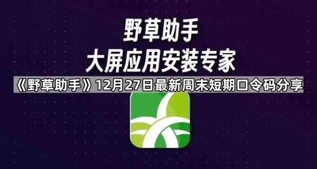 《夸克》12月27日最新周末短期口令码分享完整指南
