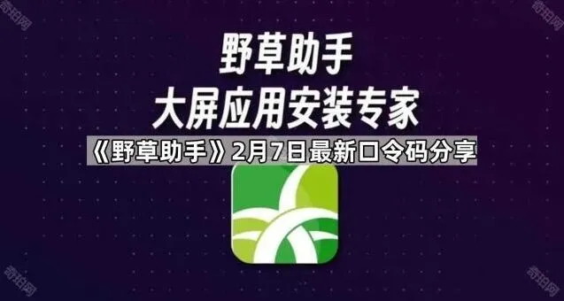 TA野草