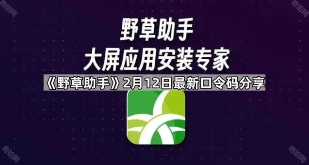 TA野草