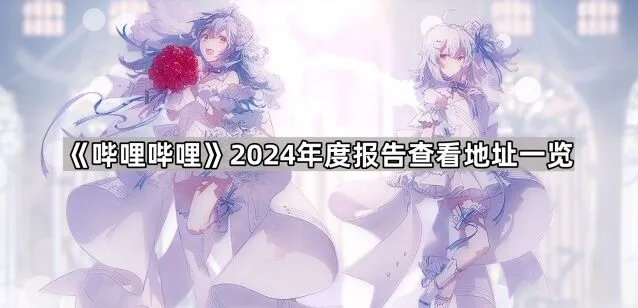 《哔哩哔哩》2024年度报告查看地址操作详解