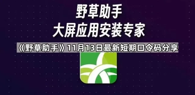 TA野草
