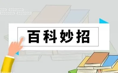 torrentkitty电影下载地址使用指南