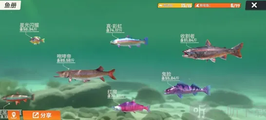 欢乐钓鱼大师一条鱼