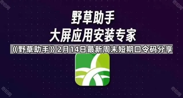 《TA》2月14日最新周末短期口令码操作教程