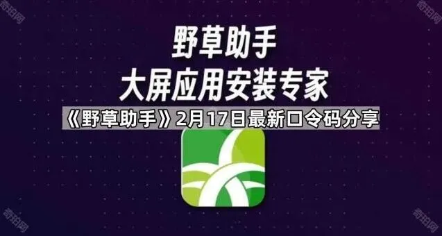 《TA》最新口令码分享实用教程